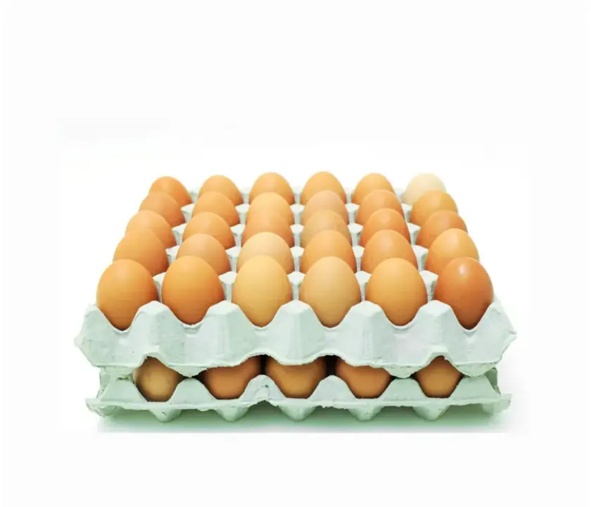 本地農場雞蛋（本地農場無激素雞蛋）